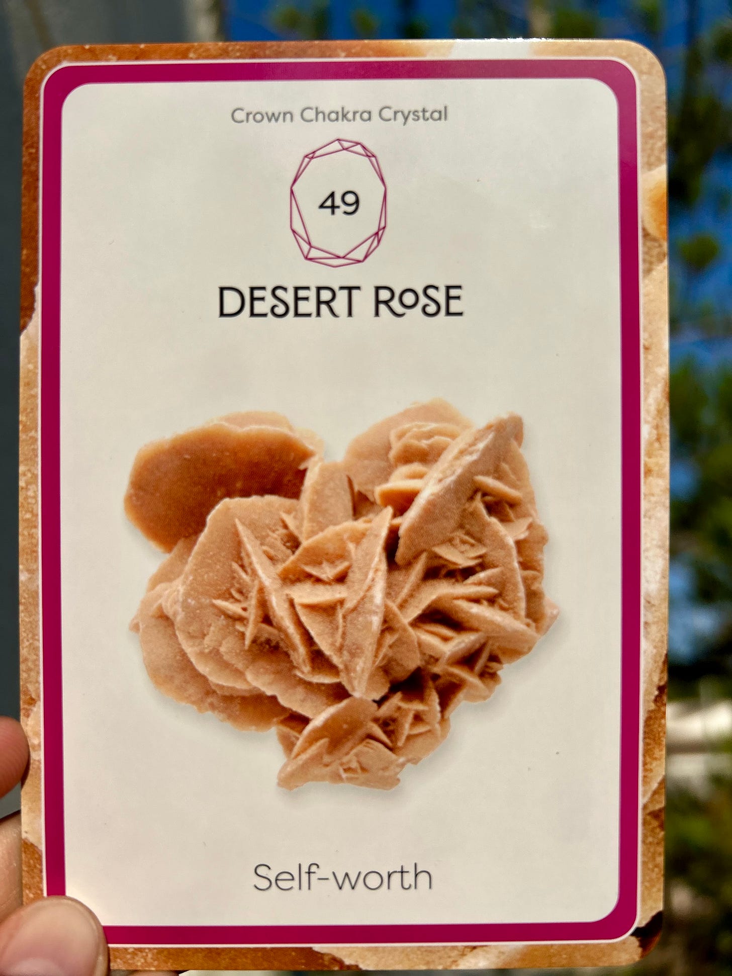 49 - Desert Rose - Self-worth (Crown Chakra) - Native Spirit Oracle Cards