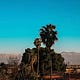 Postcards from Africa
