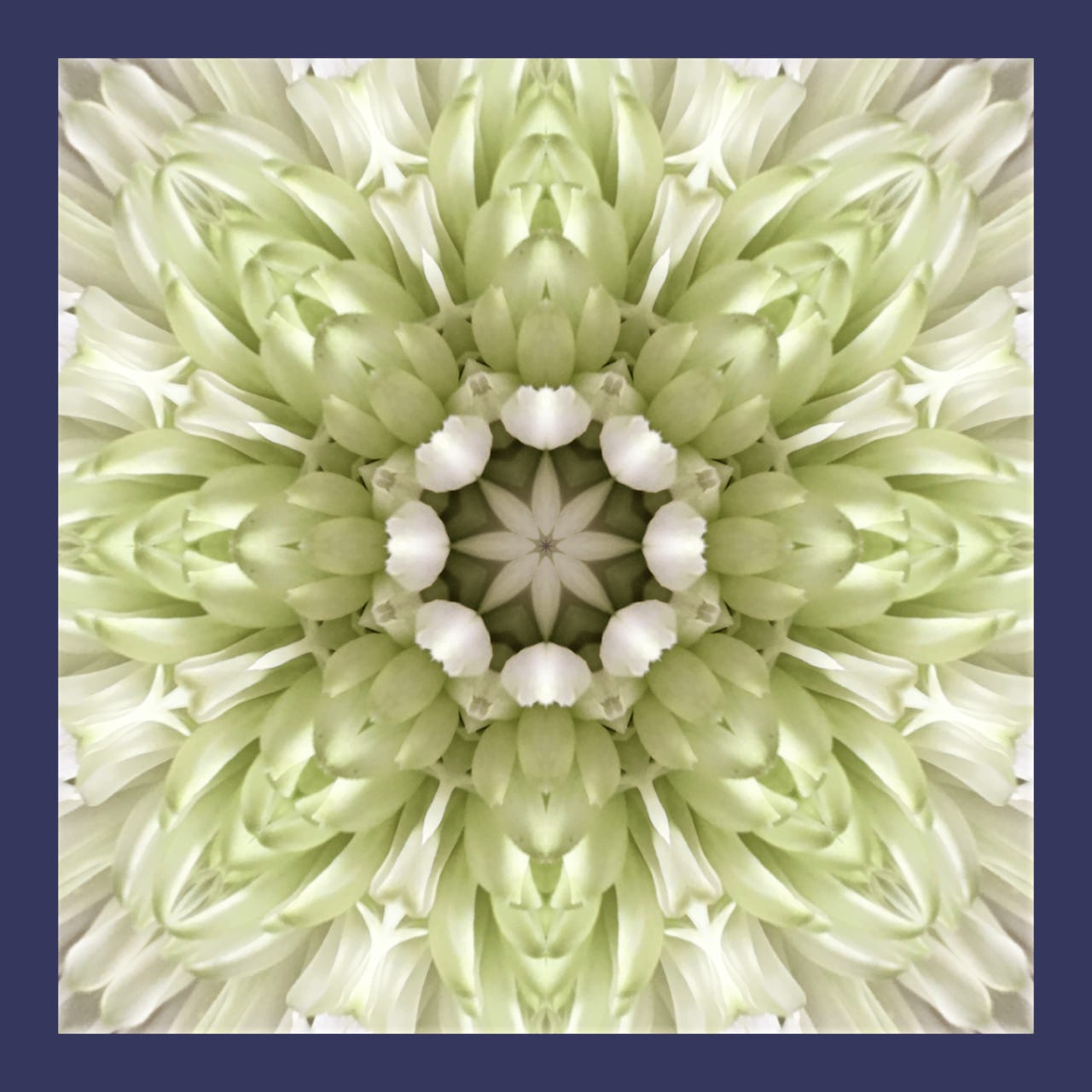 Soul Mandala Magic