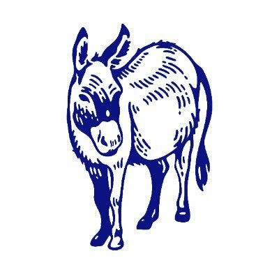 Flash February | from Short Reads