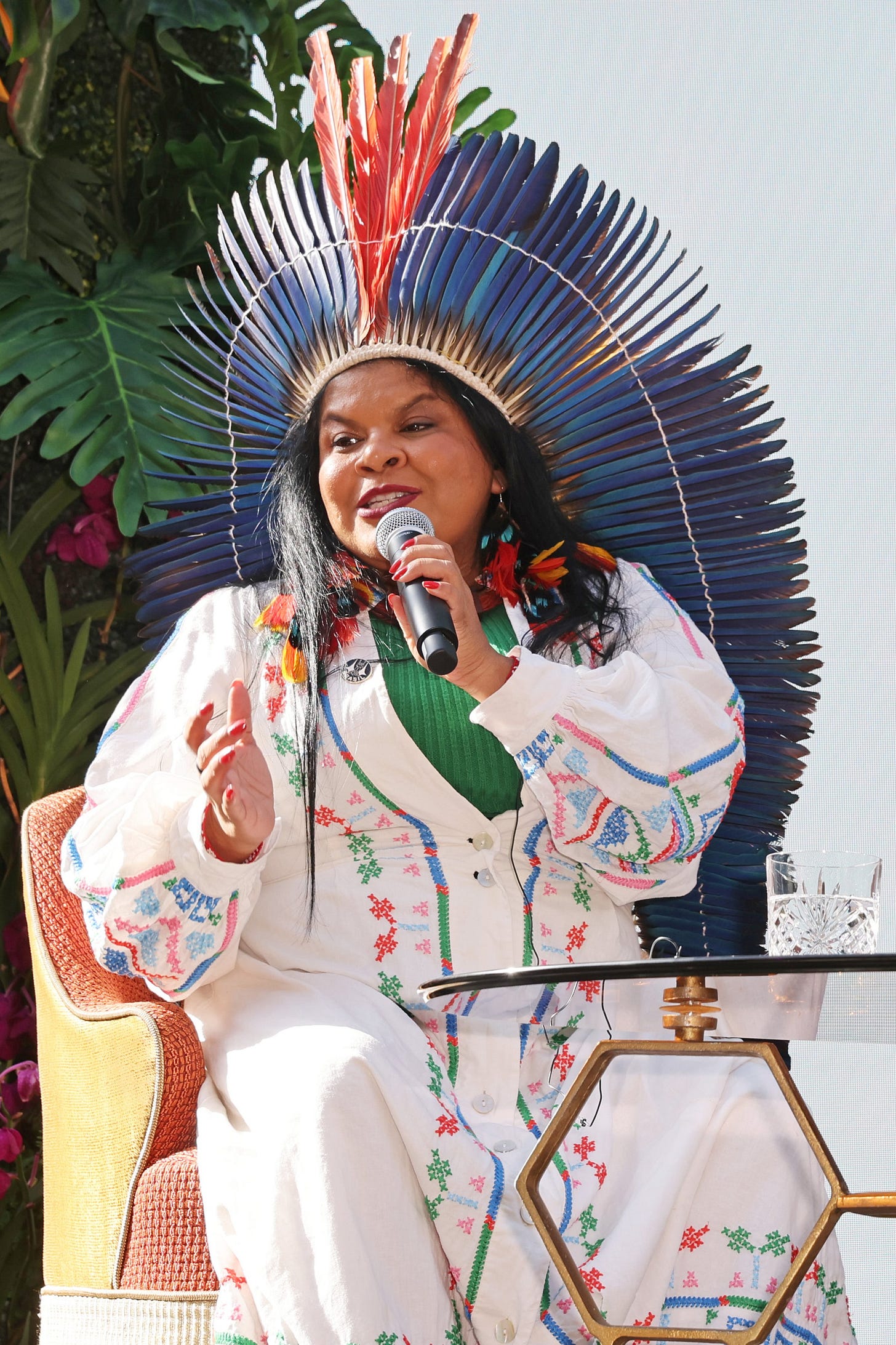 Sonia Guajajara