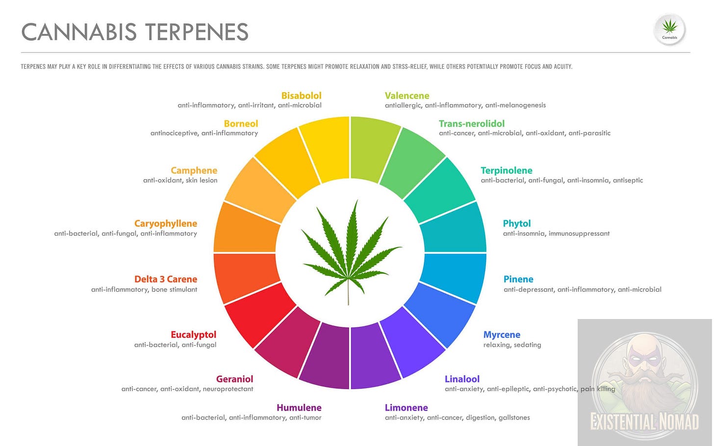 This is a colorful and informative infographic titled "CANNABIS TERPENES." The design is centered around a multi-colored wheel with a green cannabis leaf in the middle. Each colored segment of the wheel is dedicated to a specific terpene found in the cannabis plant. For each terpene, the chart provides: Its name: such as Myrcene, Limonene, Linalool, and Pinene. A list of its potential therapeutic properties and effects: for example, "relaxing, sedating" for Myrcene or "anti-inflammatory, anti-microbial" for Pinene. The infographic serves as a quick visual reference to explain the role terpenes play in the potential effects of different cannabis strains, such as relaxation, stress relief, or focus. This is a colorful and informative infographic titled "CANNABIS TERPENES." The design is centered around a multi-colored wheel with a green cannabis leaf in the middle. Each colored segment of the wheel is dedicated to a specific terpene found in the cannabis plant. For each terpene, the chart provides: Its name: such as Myrcene, Limonene, Linalool, and Pinene. A list of its potential therapeutic properties and effects: for example, "relaxing, sedating" for Myrcene or "anti-inflammatory, anti-microbial" for Pinene. The infographic serves as a quick visual reference to explain the role terpenes play in the potential effects of different cannabis strains, such as relaxation, stress relief, or focus.