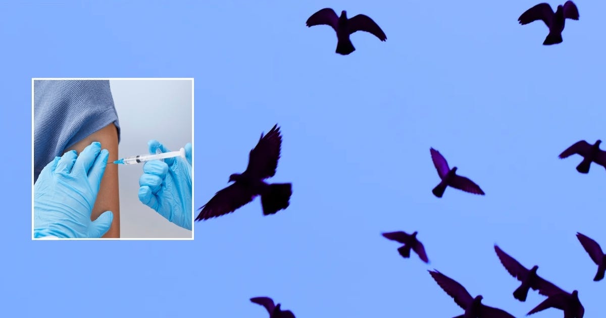 Moderna Begins Injecting 4,000 Adults with modRNA Bird Flu Pandemic Vaccine