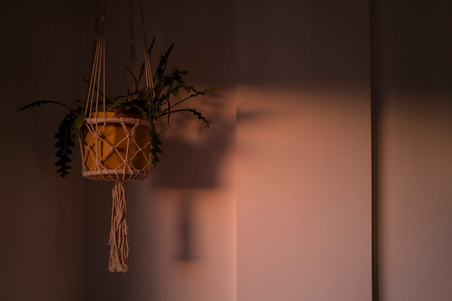 Muro de Alcoy, juillet 2019