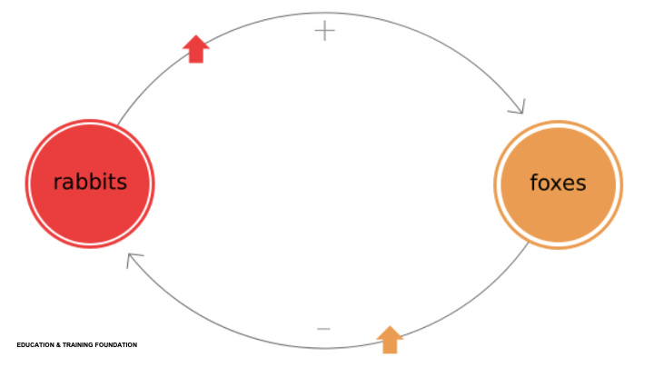 Systems map showing how there needs to be a joy loop balance between rabbits and foxes