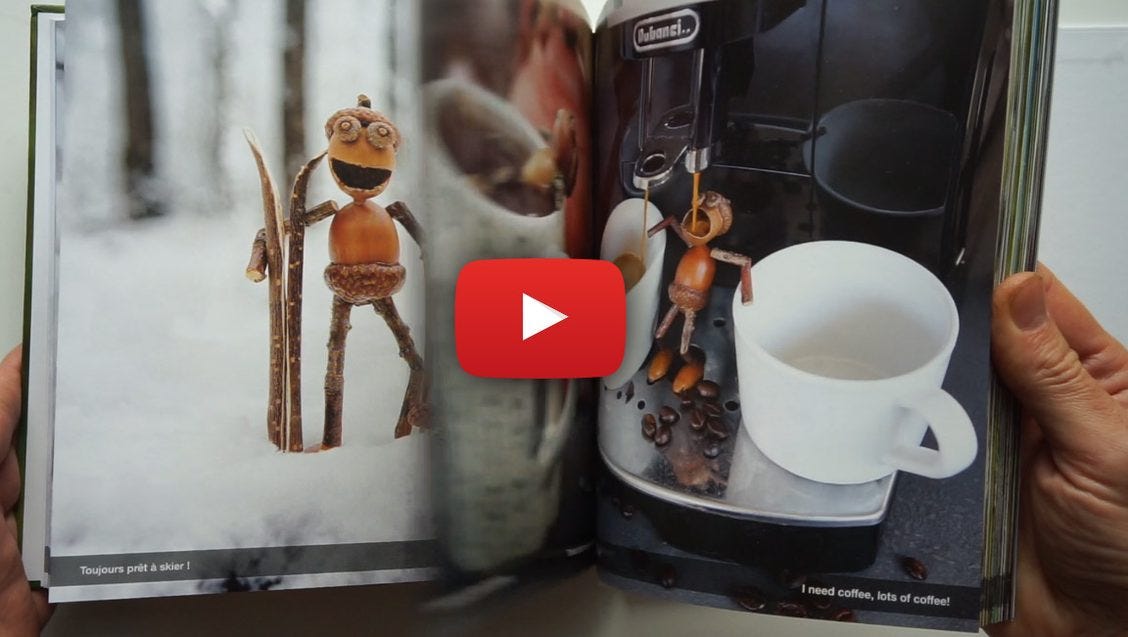 Book with Acorn Elves photos