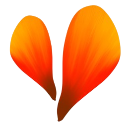 Where Firetrees are Forever