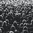 Madness of Crowds