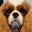 Margie's avatar