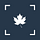 Canada Now