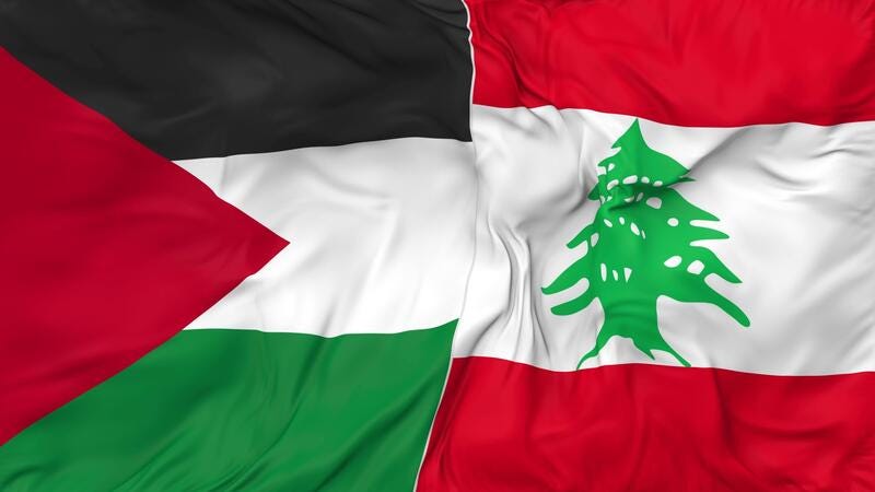 Palestine and Lebanon Flags Together Seamless Looping Background, Looped  Bump Texture Cloth Waving Slow Motion, 3D Rendering