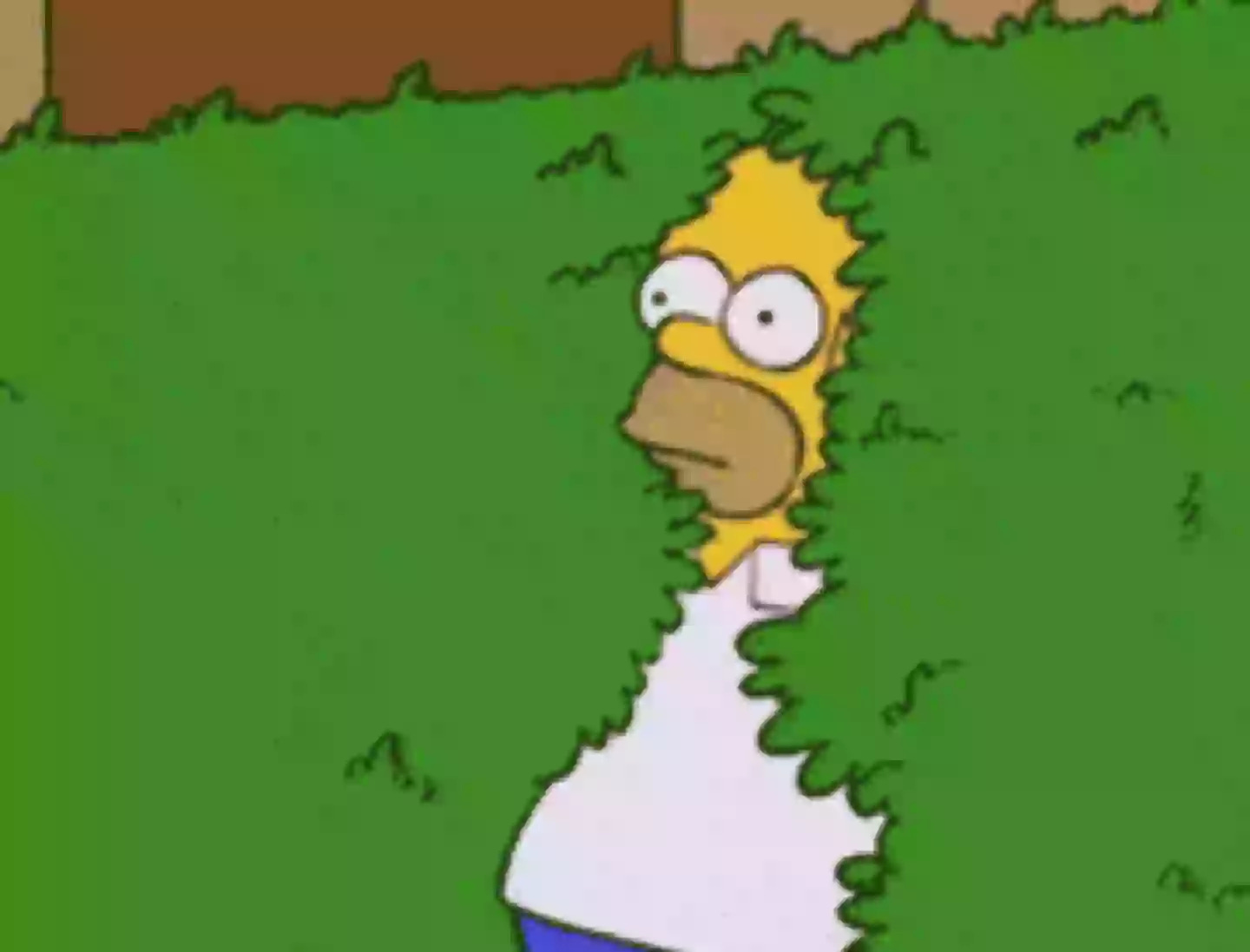 Simpsons fans feeling seriously old after realising when Homer bush meme  episode aired