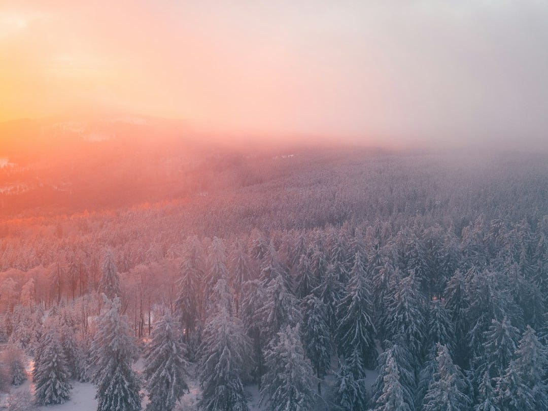 the sun is setting over a snowy forest