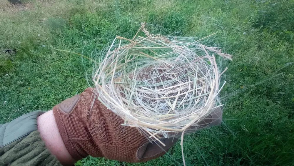 Fiber-Optic Bird’s Nest_01.jpg