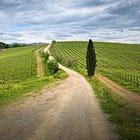 Winnipeg’s Hidden Tie to Italy’s Fine Wines