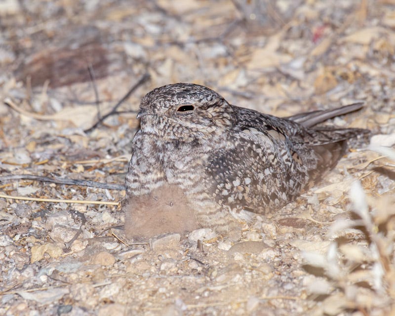 20200617_LN-62-Edit.jpg 20200617_LN-62-Edit.jpg