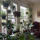 Welcome to My Indoor Jungle
