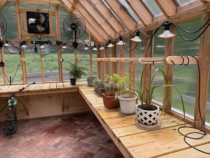 Four photos showing a drip-irrigation system installed inside a greenhouse. The top-left image provides a wide view of wooden planting benches lined with potted vegetables, herbs, and flowers beneath overhead irrigation tubing. The top-right image shows black irrigation lines running along the greenhouse wall and feeding individual plants in containers. The bottom-left image is a close-up of a drip emitter delivering water directly to a potted flowering plant. The bottom-right image highlights a cucumber vine and nearby potted plants connected to the irrigation system, illustrating how water is distributed to individual containers throughout the greenhouse.
