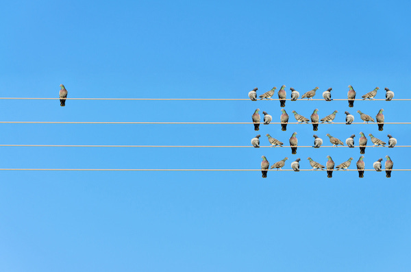 Identifying Opportunities for Disruptive Innovation - Business 2 Community