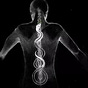 The Bio-Individual Project's avatar