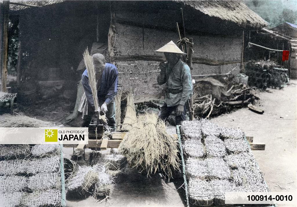 The Silk Industry of Japan