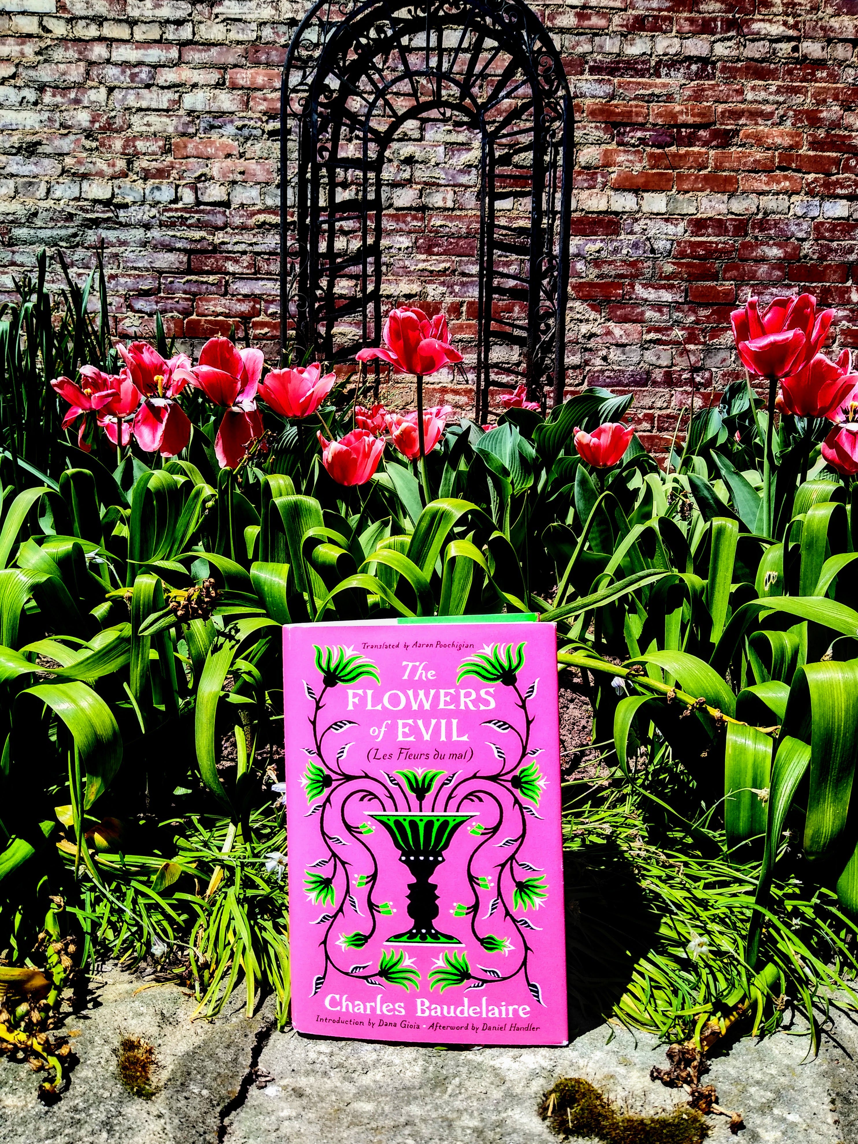 The Flowers of Evil by Charles Baudelaire - by Meredith, image size:2969x3959