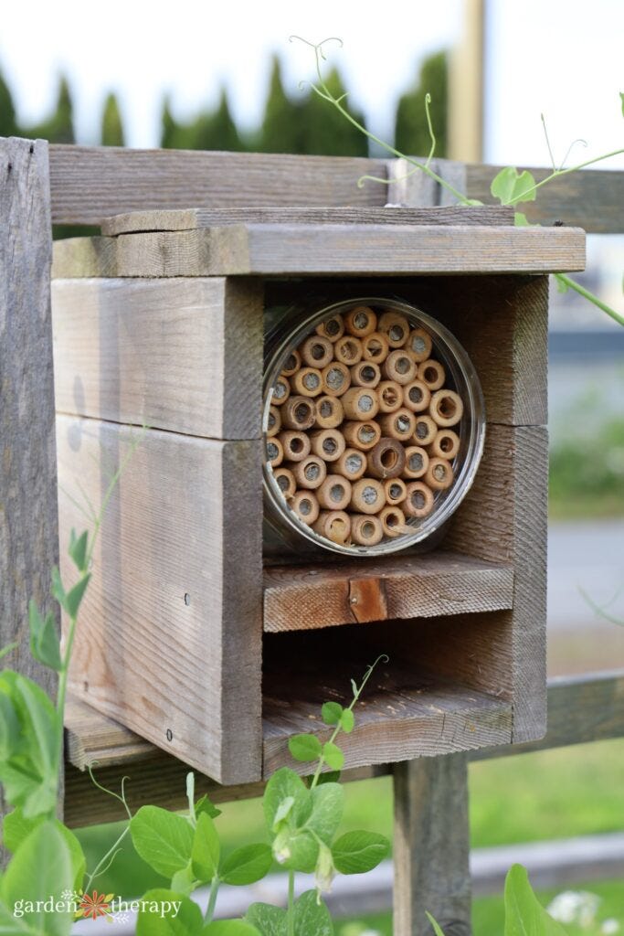bee house on fence bee house on fence