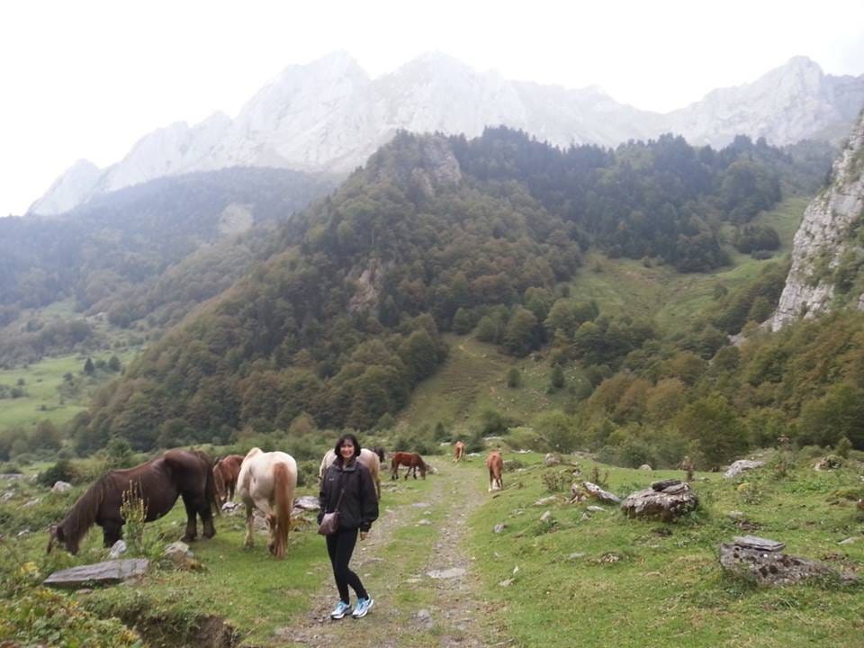 the pyrenees