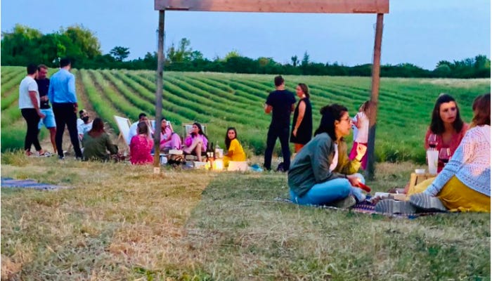 Evenings in the Vineyards: Aix Evenings in the Vineyards: Aix