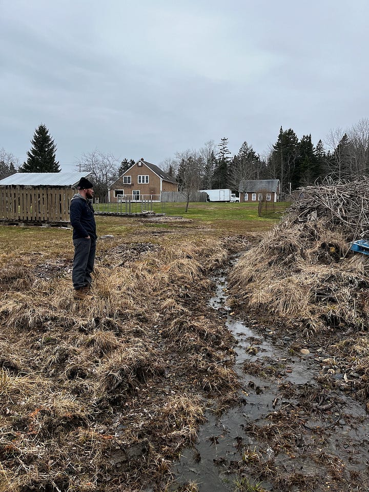 Progress on neighbor's brush pile, digging ditch, and the final product.