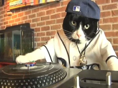 DJ Kitty DJ Kitty