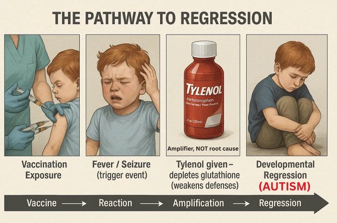 A sequence of four panels showing a child receiving a vaccine injection, crying with a hand on their head, a bottle of Tylenol, and a child sitting alone with knees drawn up. Text overlays include "Vaccination Exposure," "Fever / Seizure (trigger event)," "Tylenol given - depletes glutathione (weakens defenses)," and "Developmental Regression (Autism)." The title at the top reads "THE PATHWAY TO REGRESSION." A sequence of four panels showing a child receiving a vaccine injection, crying with a hand on their head, a bottle of Tylenol, and a child sitting alone with knees drawn up. Text overlays include "Vaccination Exposure," "Fever / Seizure (trigger event)," "Tylenol given - depletes glutathione (weakens defenses)," and "Developmental Regression (Autism)." The title at the top reads "THE PATHWAY TO REGRESSION."