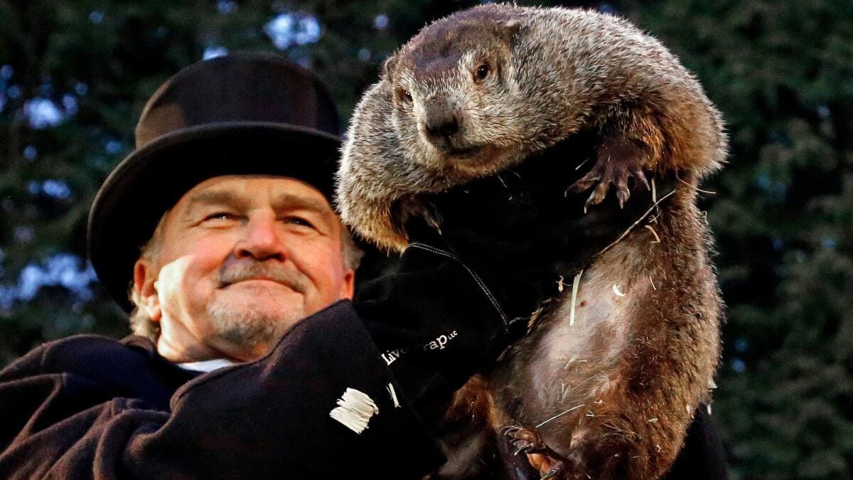 Groundhog Club handler John Griffiths holds Punxsutawney Phil, the weather prognosticating groundhog, on Thursday in Punxsutawney, Pa.