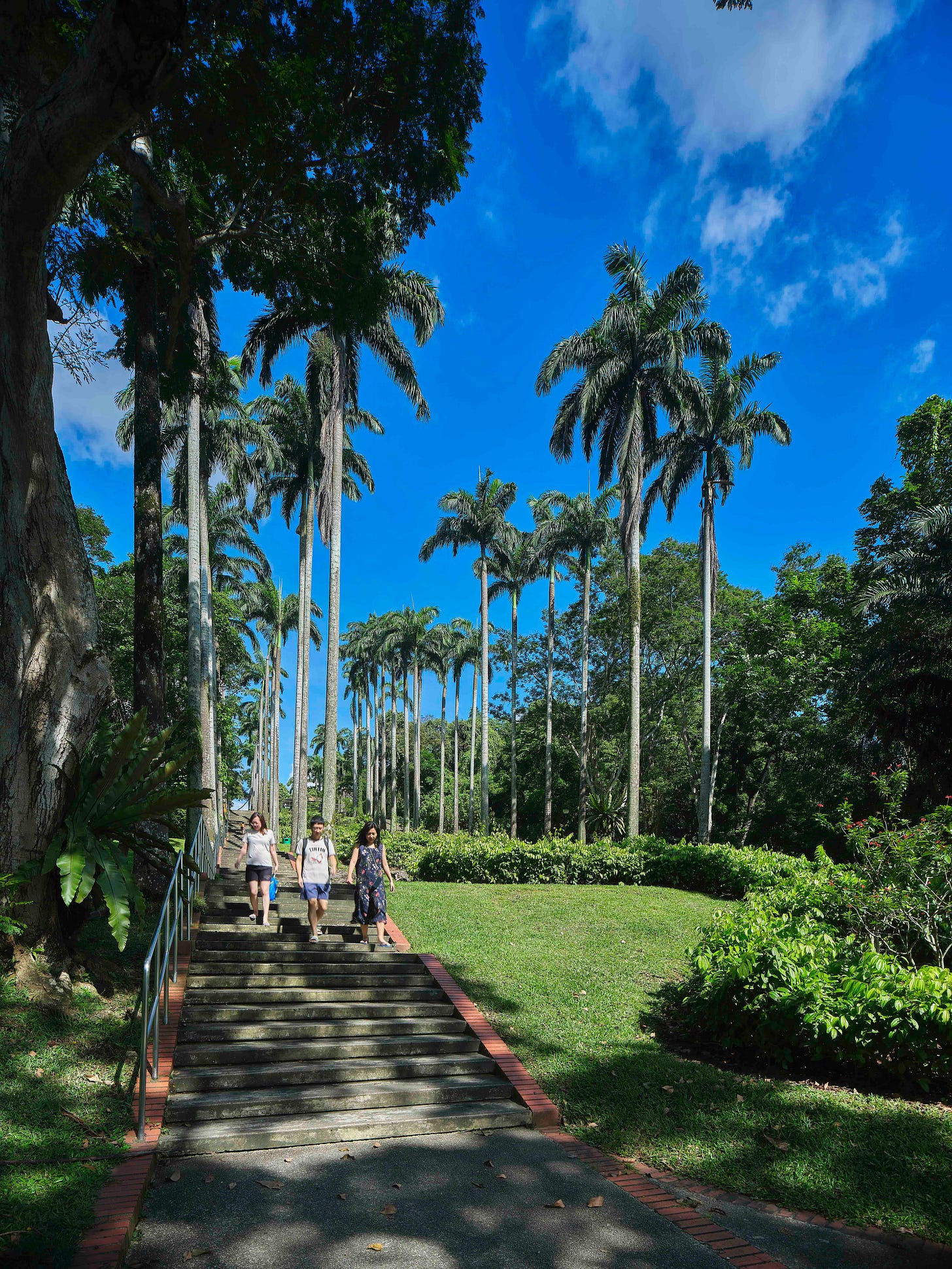Ang Mo Kio Town Garden West