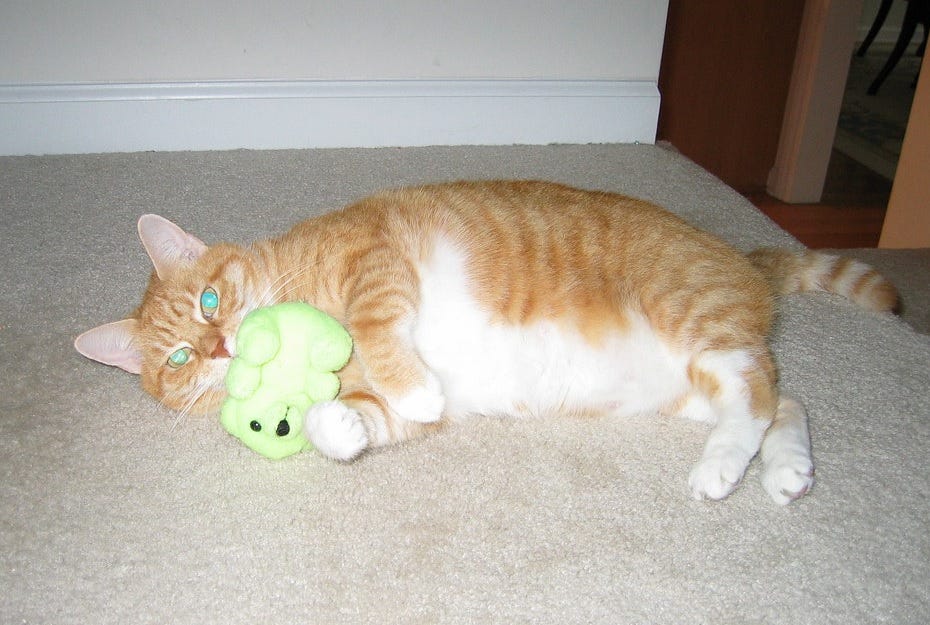A plump ginger tabby cat with white paws lies on her side on a beige carpet, playing manically with a small light-green teddy bear. Her green eyes, appearing to glow due to the camera flash, speak of murder.