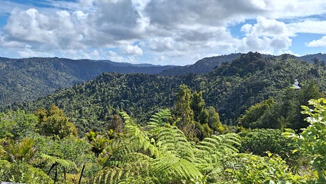 Dr Vicki Connop seated on a yoga mat beside photographs of the lush Waitākere Ranges and a towering native tree fern in West Auckland.