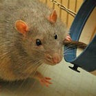 How Diabetes is an Electrical Illness