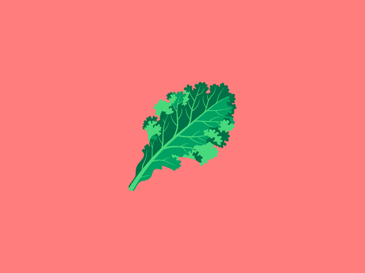 pink background with a single piece of kale on it pink background with a single piece of kale on it