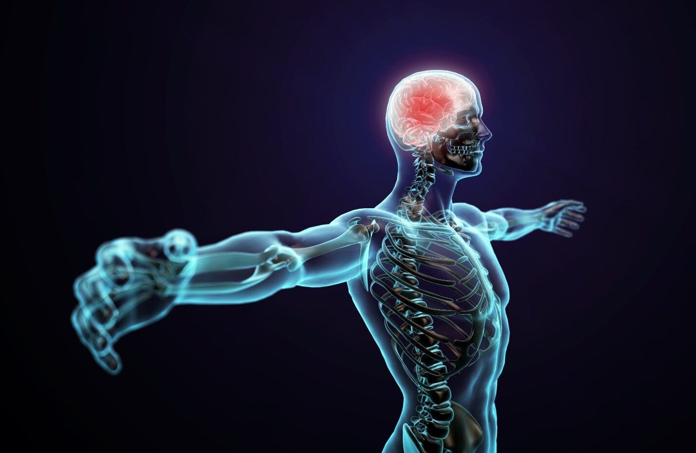 The Most In-Depth Karma Clearing and Healing of the Nervous System I Have  Ever Done: Release Past-Life Blocks that Are Stuck In Your Nervous System —  Clear and Connect with Michael Golzmane