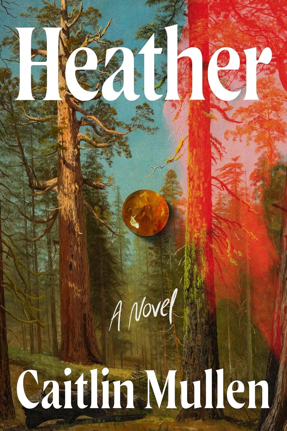 Heather by Caitlin Mullen: a review