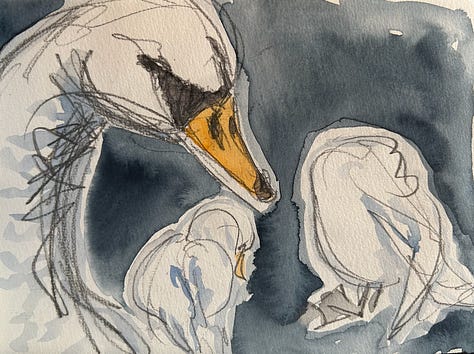 Watercolor sketch of the rue Montorgeuil is Paris, of the Pont Neuf, and four sketches of preening swans.
