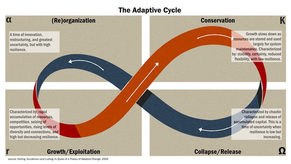 If Collapse Is Inevitable, Why Does Seeing Early Matter?