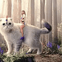 AprilJo Murphy's avatar