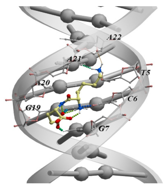 KE DNA binding context from short peptide review literature KE DNA binding context from short peptide review literature