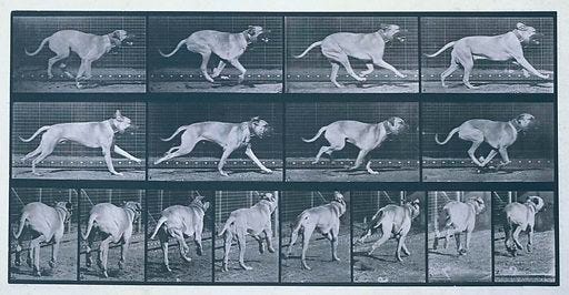 Running dog (Dread). Date: 1887. Object ID: RP-F-F00635.