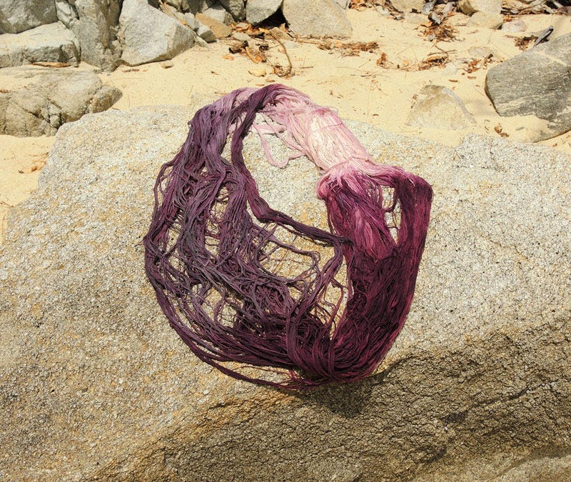Coastal Color: Murex, Purpura, and the Power of Purple