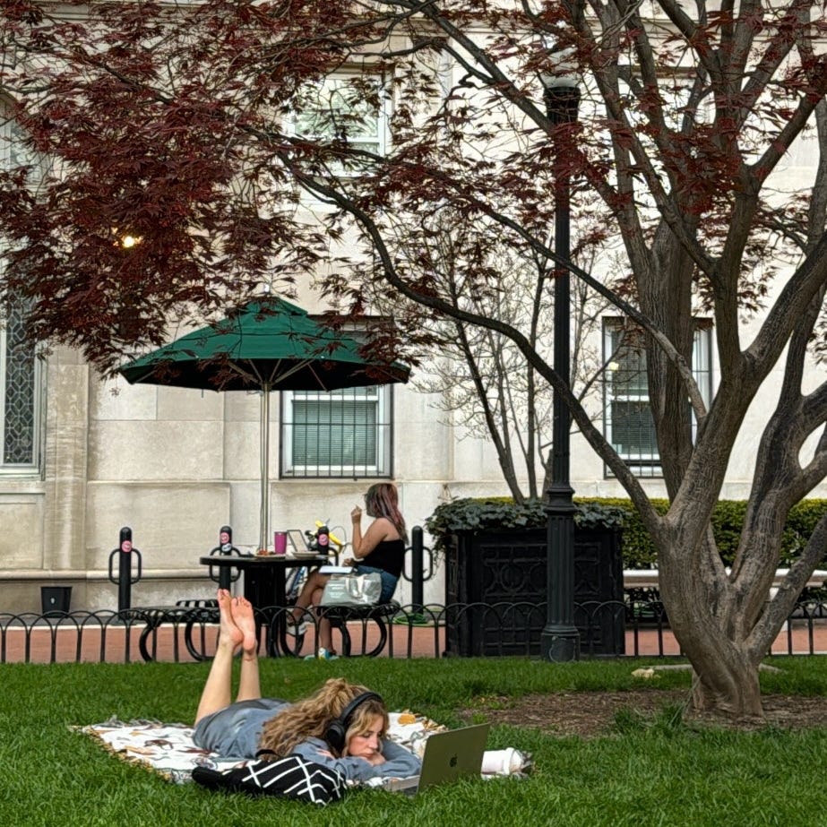 Artwork for Ana Vilá