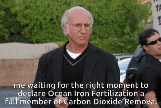 GIF of Larry David from Curb Your Enthusiasm standing outside, looking around warily. Text: "me waiting for the right moment to declare Ocean Iron Fertilization a full member of Carbon Dioxide Removal"