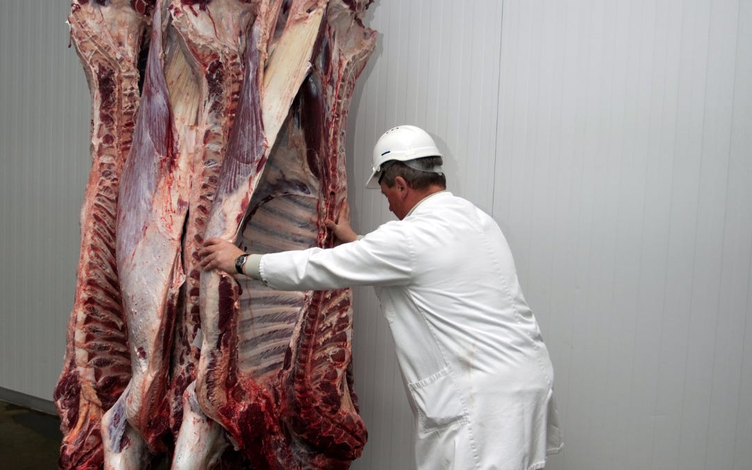Farming Jobs Are Not A Moral Defence Of Animal Agriculture