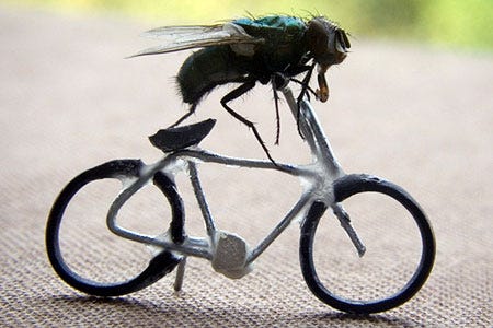 bugbike